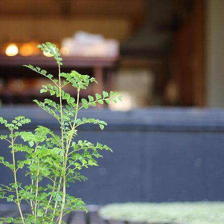 晴家 Guest House Fujikawaguchiko Zewnętrze zdjęcie