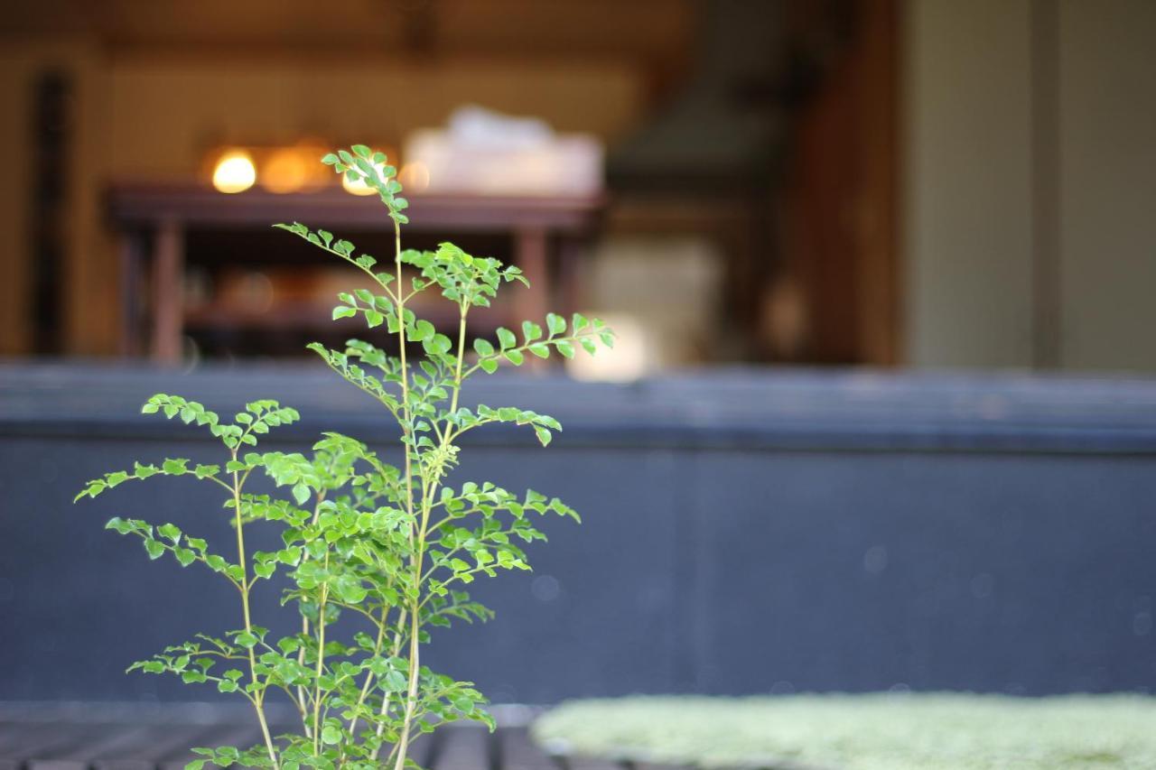 晴家 Guest House Fujikawaguchiko Zewnętrze zdjęcie