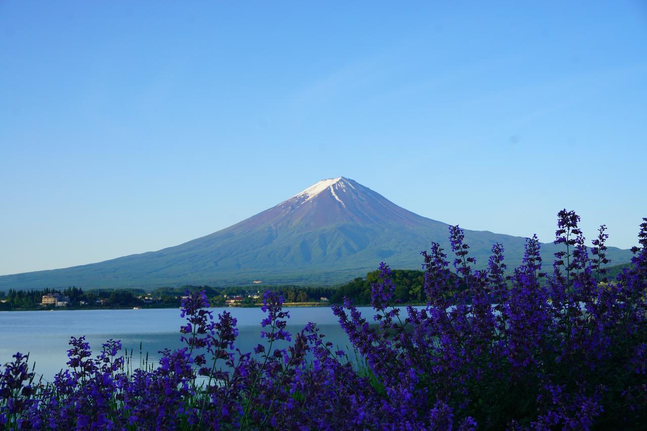 晴家 Guest House Fujikawaguchiko Zewnętrze zdjęcie
